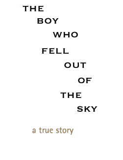 THE BOY WHO FELL OUT OF THE SKY