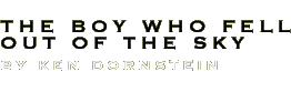 The Boy Who Fell Out of the Sky by Ken Dornstein